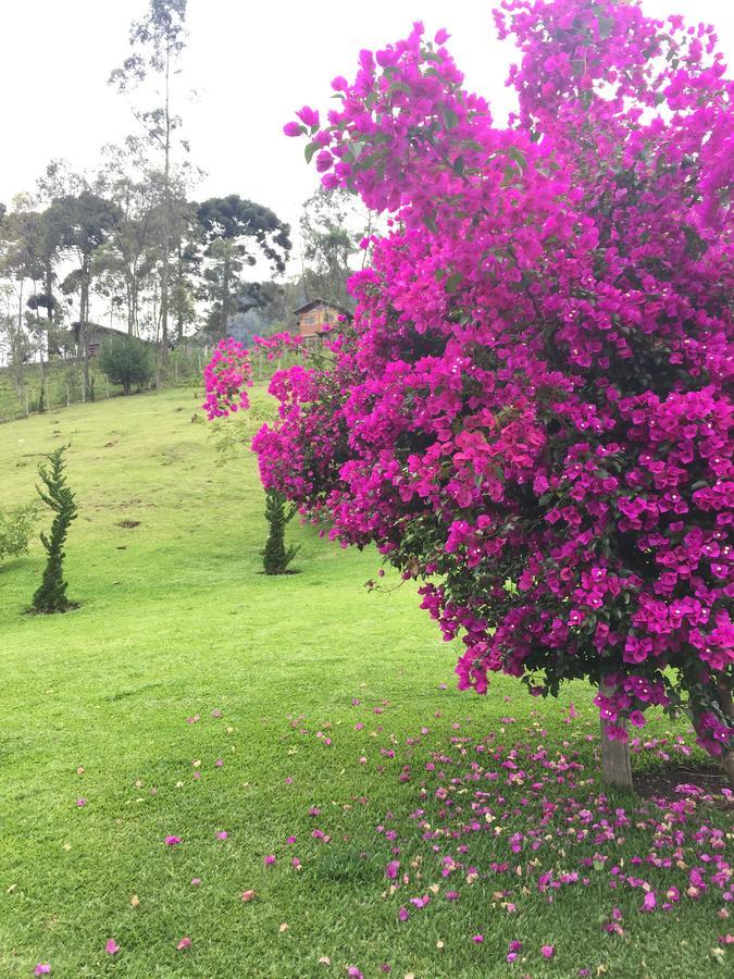 Chales Vista Linda *